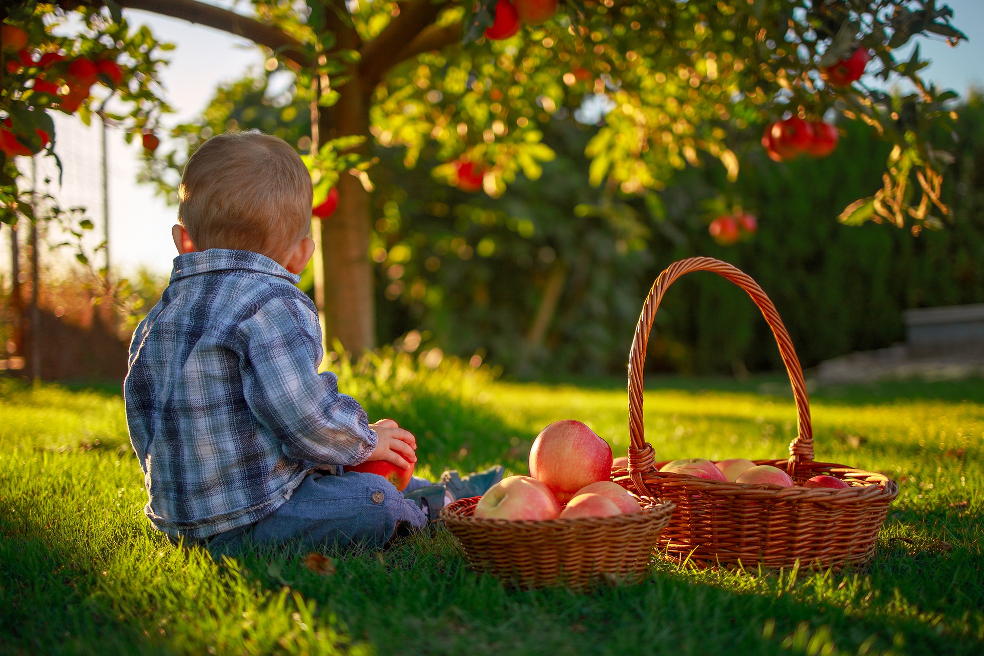 Mangia sostenibile: acquista locale e di stagione