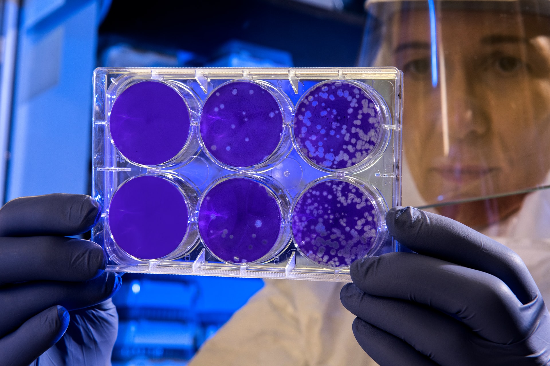 Non solo batteri restauratori: le biotecnologie del futuro passano anche da loro