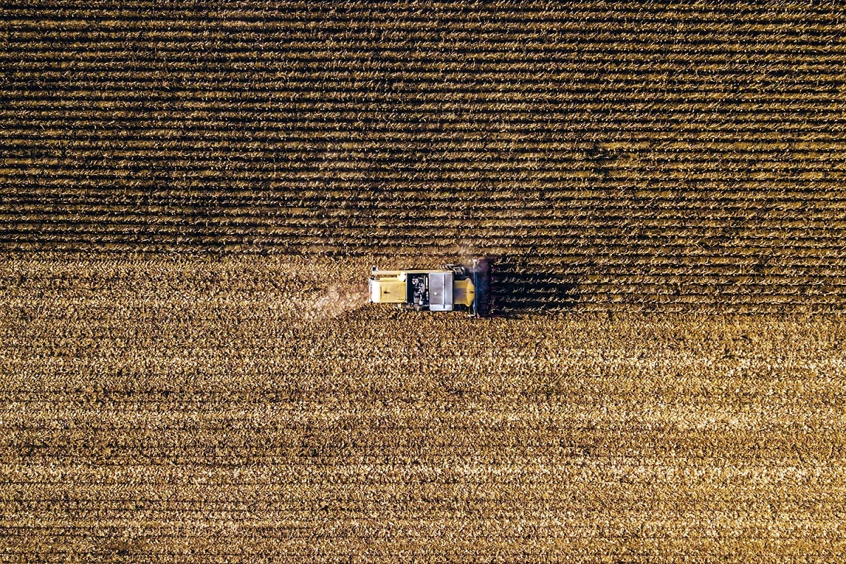 Cosa prevede la legge sull’agricoltura biologica in Italia