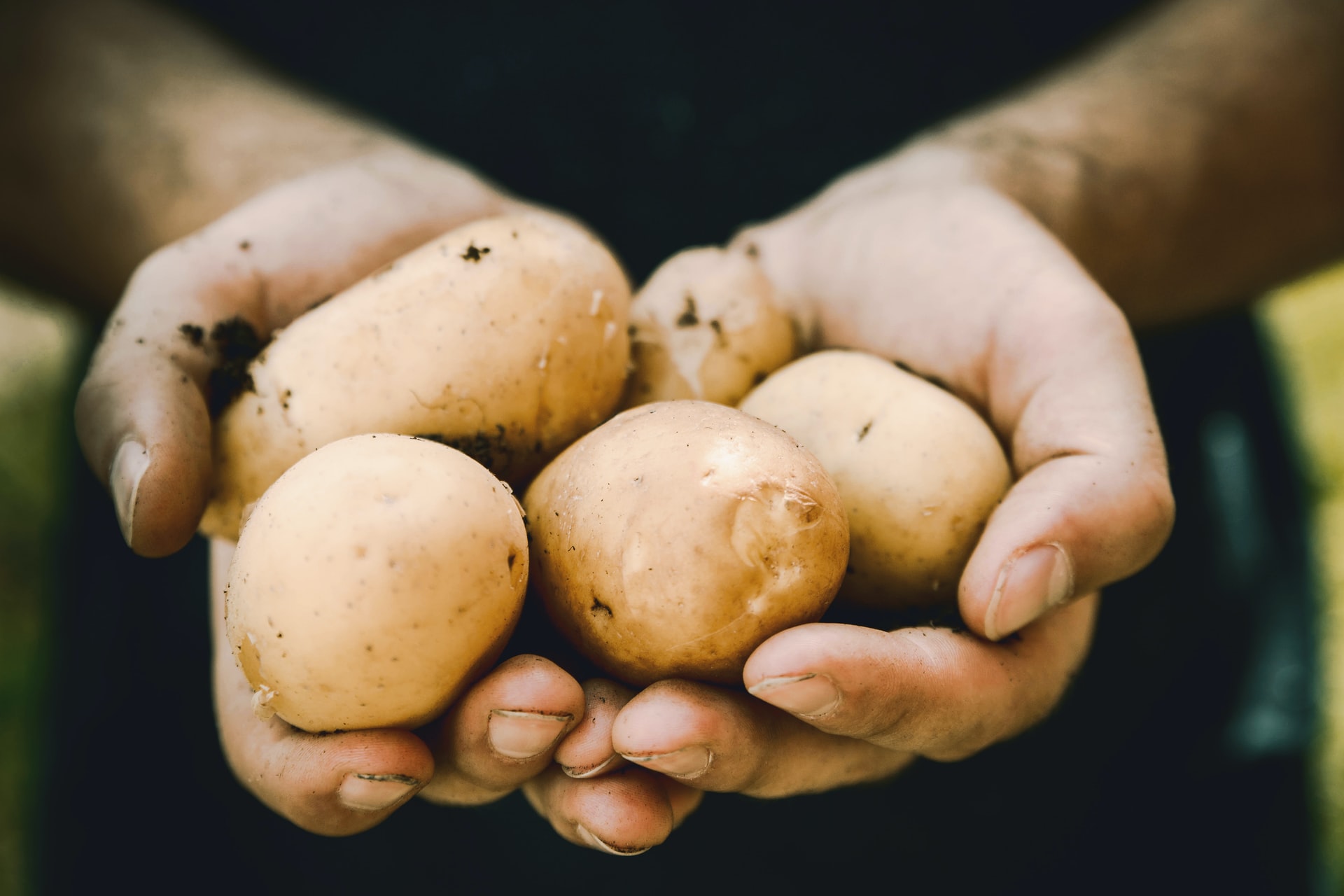 Il mercato dell’agricoltura biologica in Italia è sempre più importante