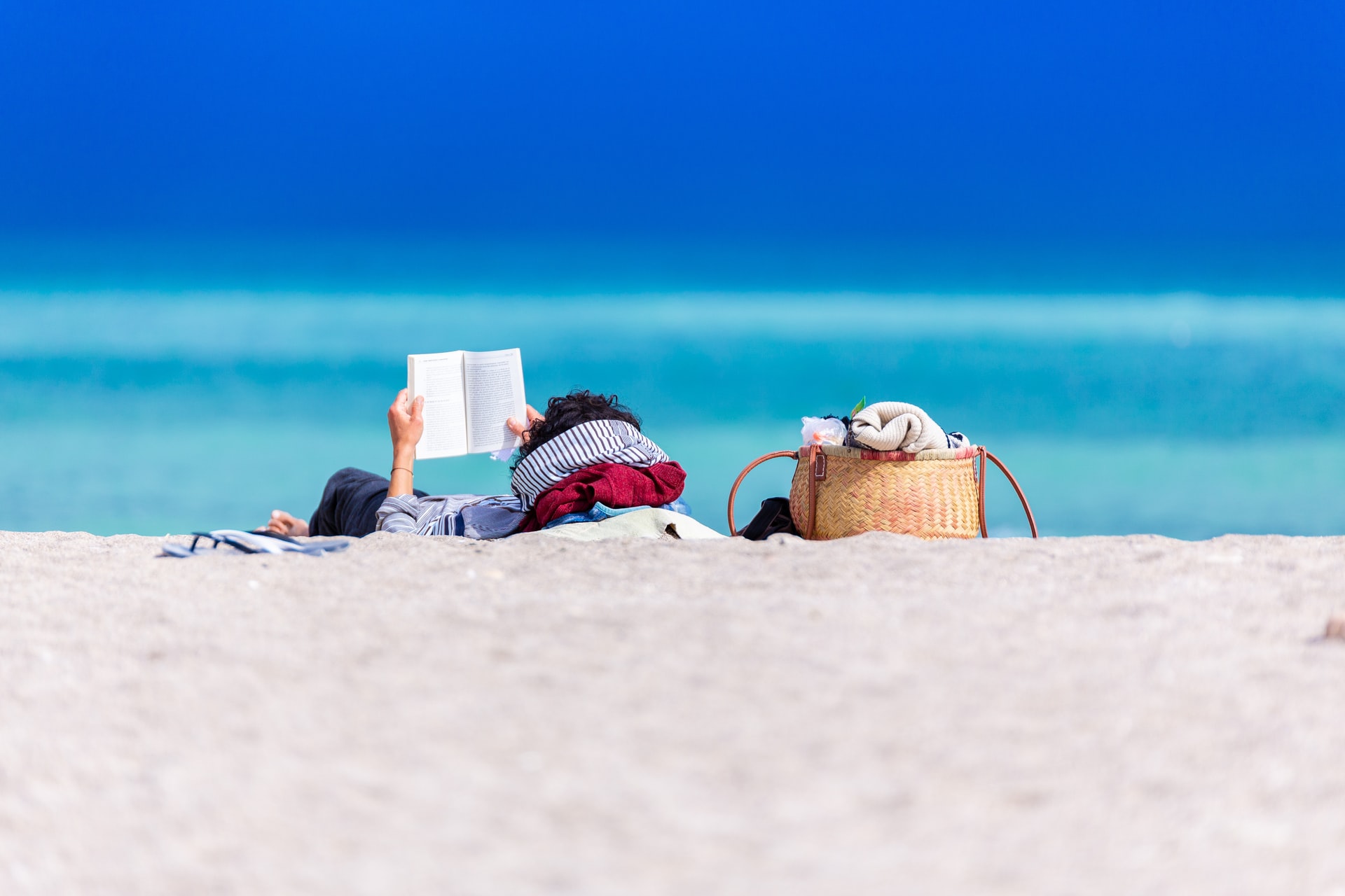 5 libri da leggere quest'estate sull'ambiente per tutti i gusti