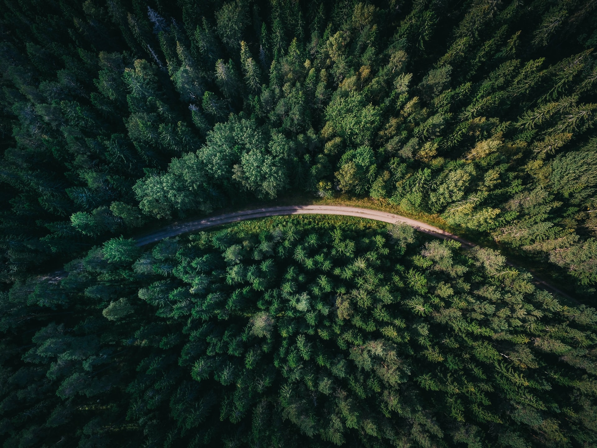 Cosa possiamo aspettarci dal Ministero della Transizione Ecologica qui in Italia