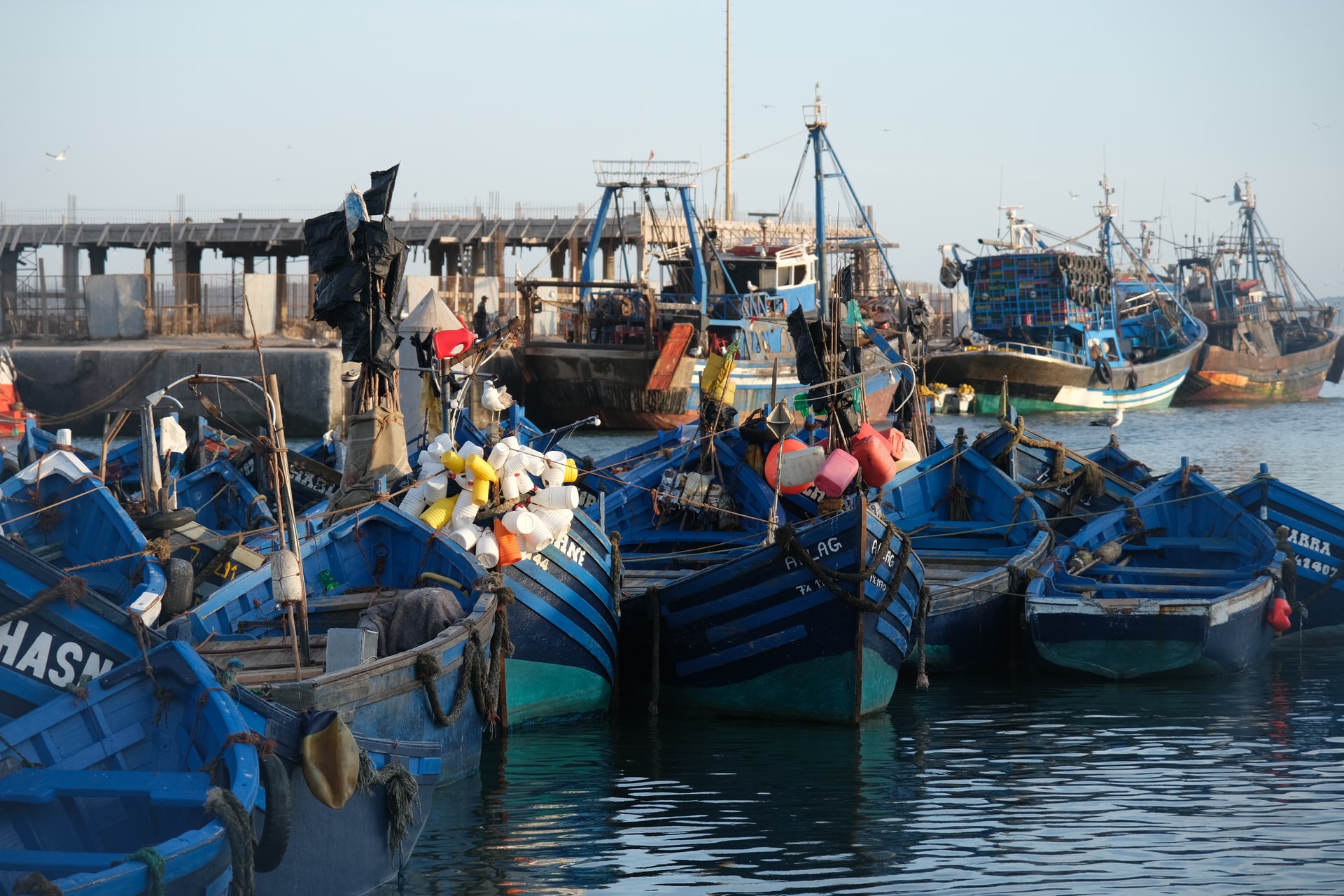 La pesca sostenibile: impariamo a conoscerla anche grazie al certificato MSC